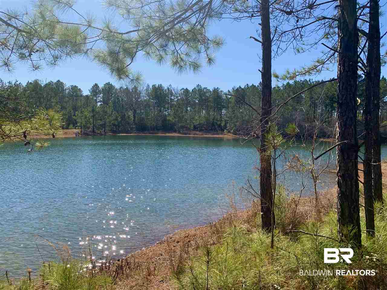 0 Sexton Brg Road Luverne, AL 36049 - Photo 37 of 50
