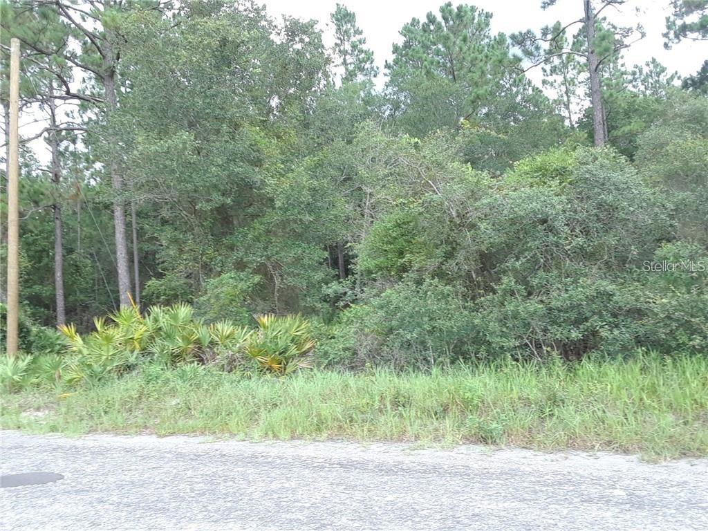 130 Millican Road Palatka, FL 32177 - Photo 1 of 1 Gallery Image 1