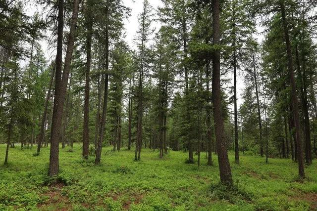 $150,000 | 2559 United Copper Mine Road, Chewelah, WA 99109