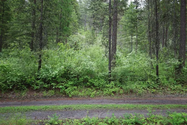 $150,000 | 2559 United Copper Mine Road, Chewelah, WA 99109