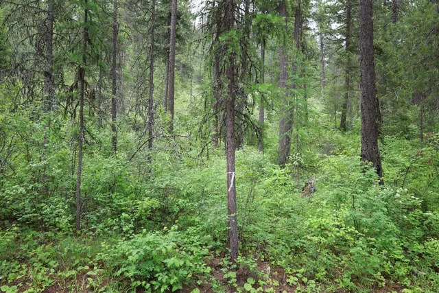 $150,000 | 2559 United Copper Mine Road, Chewelah, WA 99109