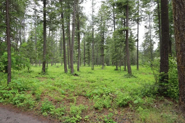 $150,000 | 2559 United Copper Mine Road, Chewelah, WA 99109