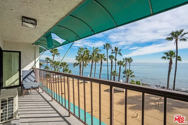 a view of a palm tree with flower plants