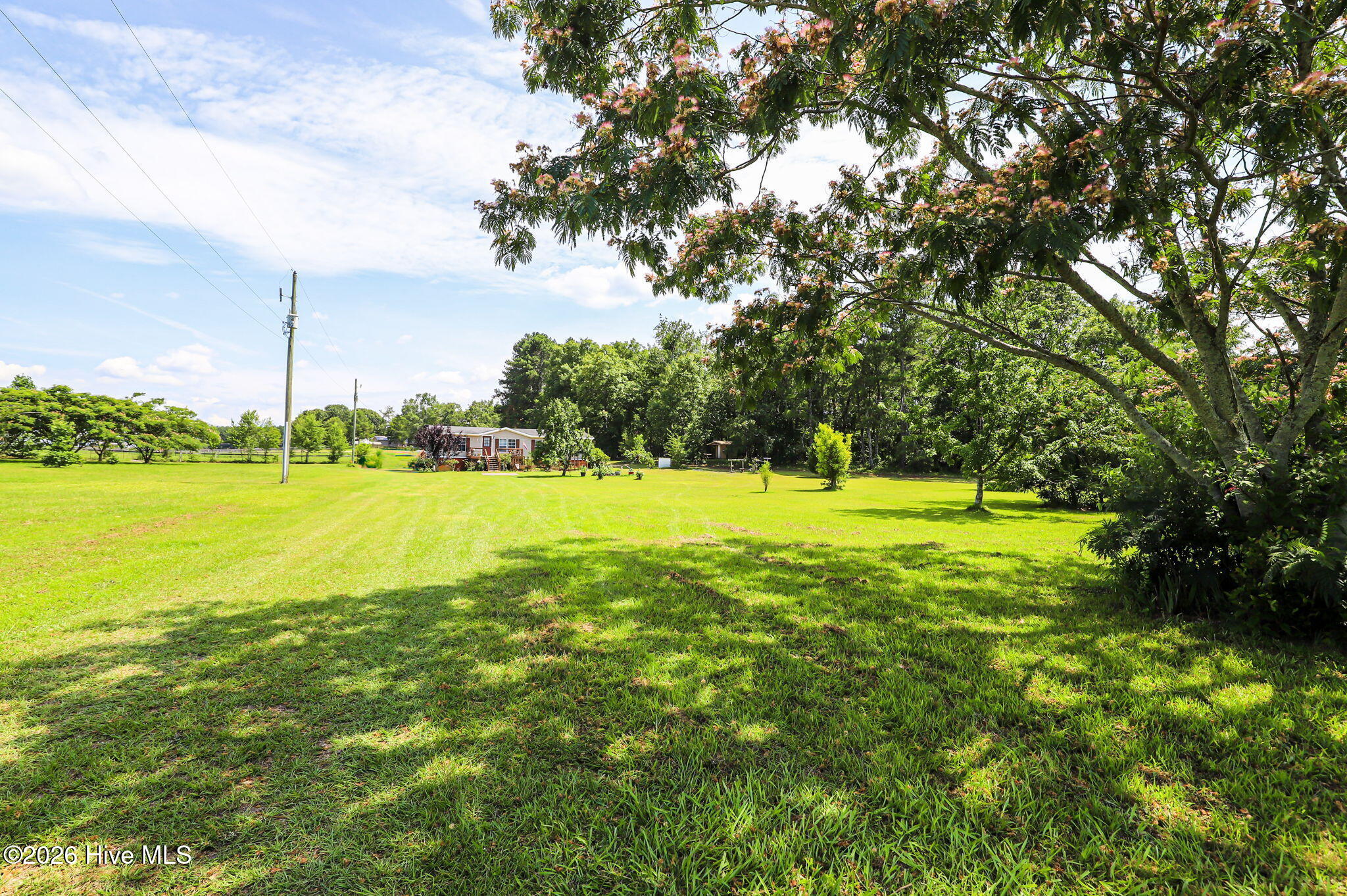 248 Mt Calvary Road Trenton, SC 29847 - Photo 34 of 34