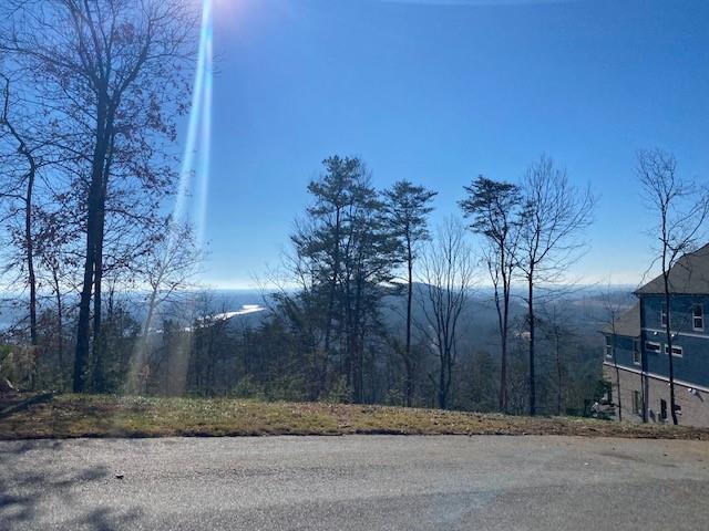 103 Somerset Lane Cartersville, GA 30121 - Photo 3 of 8 a view of a yard of a building