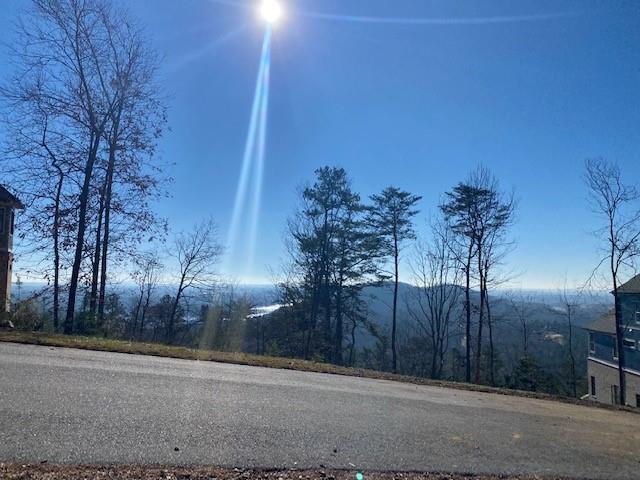 103 Somerset Lane Cartersville, GA 30121 - Photo 5 of 8 a view of a backyard of the house