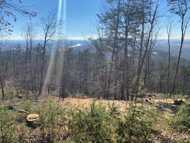 103 Somerset Lane Cartersville, GA 30121 - Photo 6 of 8 a view of swimming pool of water with wooden fence