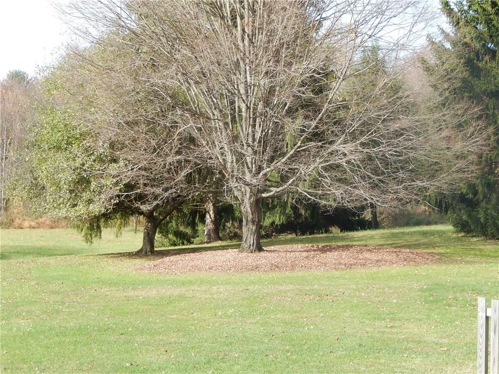 23 Matson Road Ligonier, PA 15658 - Photo 14 of 17 Beautiful 6.9 acres. So many possibilities.