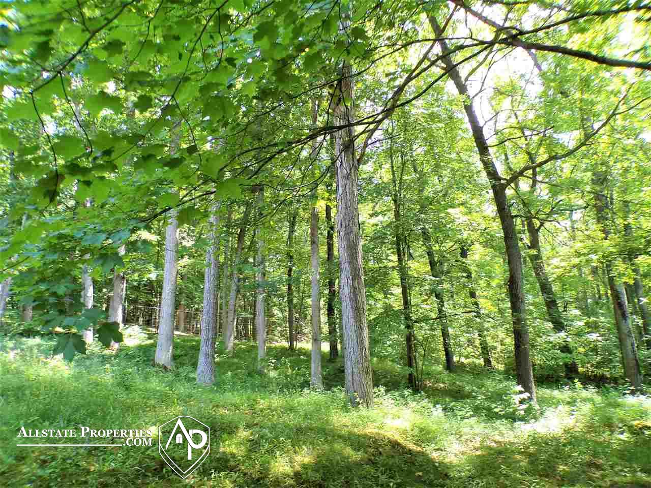 10098 East Atherton Road Davison, MI 48423 - Photo 44 of 46 50007560-43.JPG