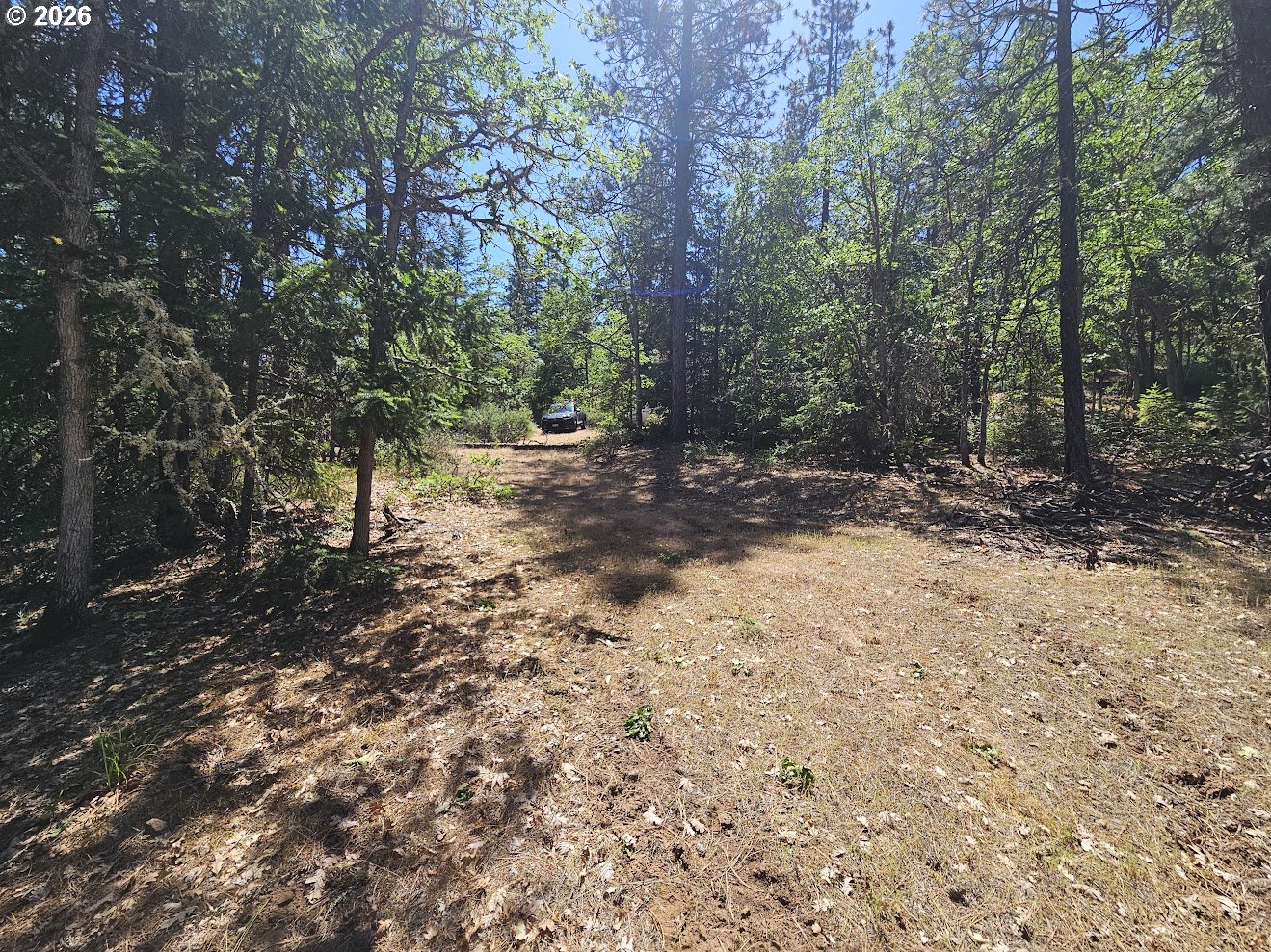 Lovers Lane Lyle, WA 98635 - Photo 7 of 25