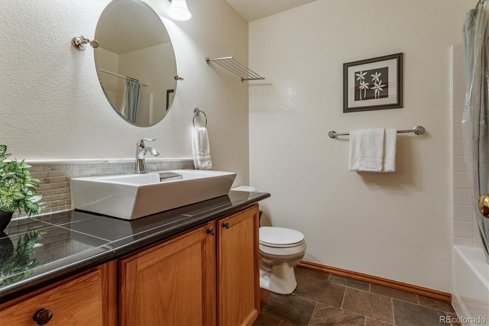 680 Timbervale Trail Highlands Ranch, CO 80129 - Photo 18 of 28