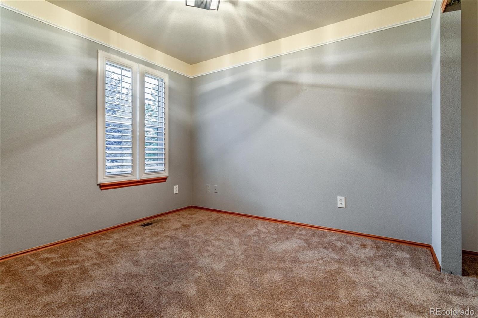 680 Timbervale Trail Highlands Ranch, CO 80129 - Photo 19 of 28