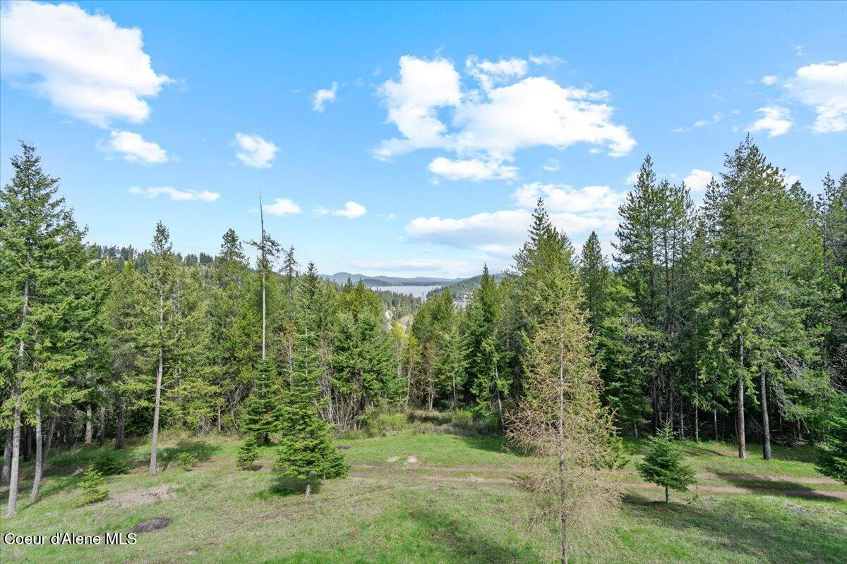4177 East Eagles Mere Road Harrison, ID 83833 - Photo 62 of 100 60-View of Backyard