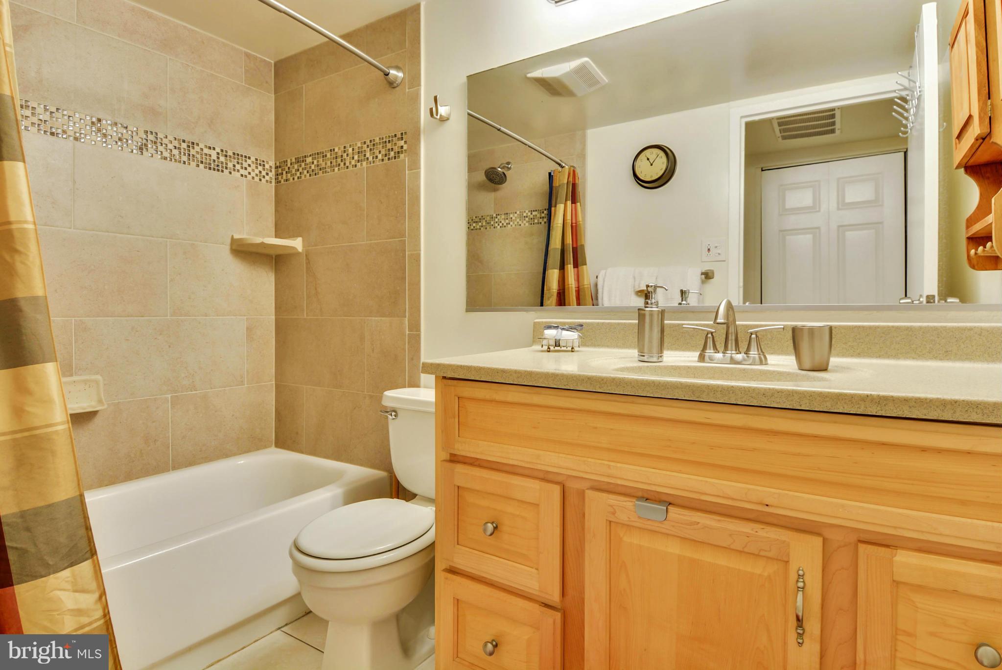 11240 Chestnut Grove Square, Unit 32 Reston, VA 20190 - Photo 18 of 28 Bath (Master)