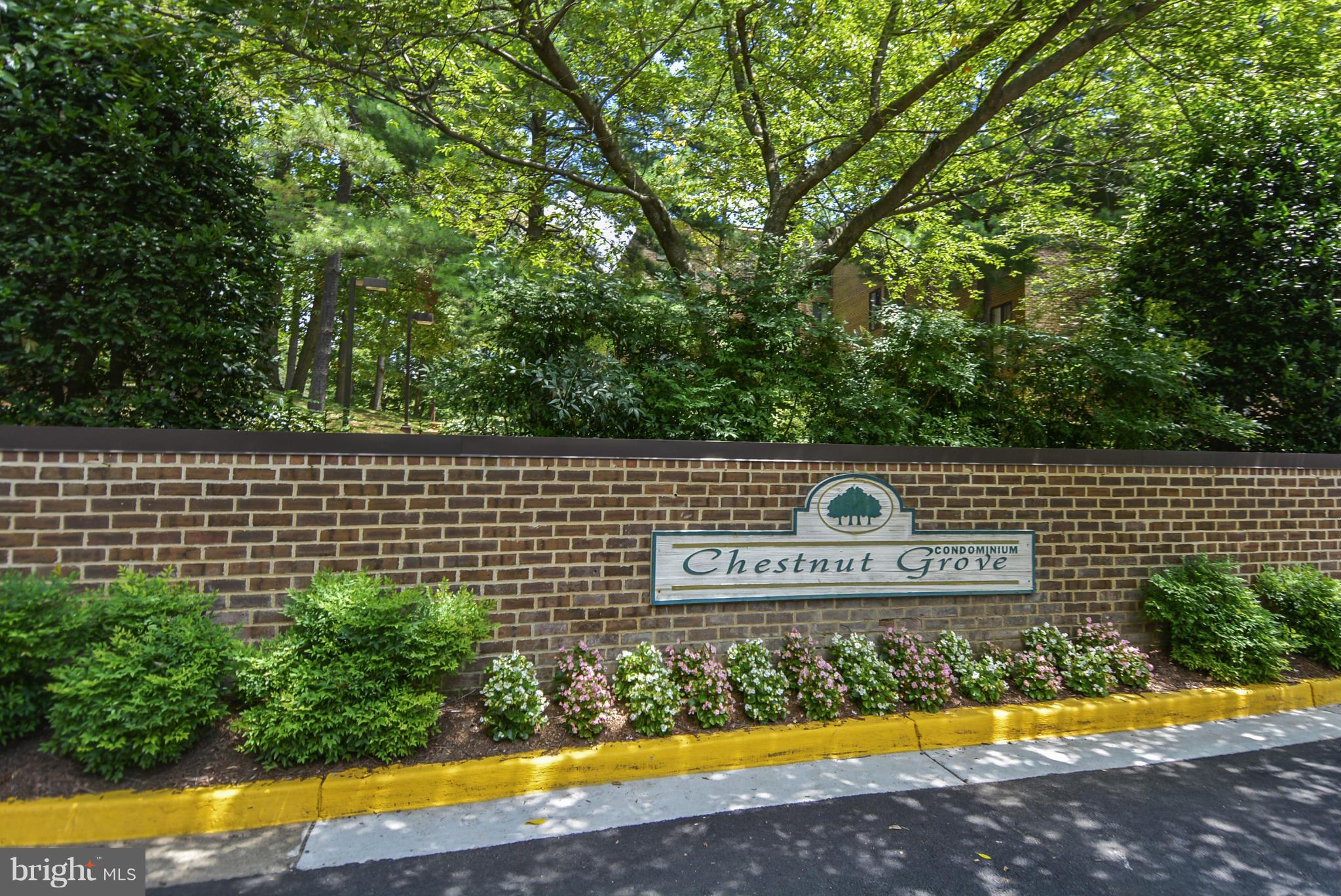 11240 Chestnut Grove Square, Unit 32 Reston, VA 20190 - Photo 3 of 28 Community