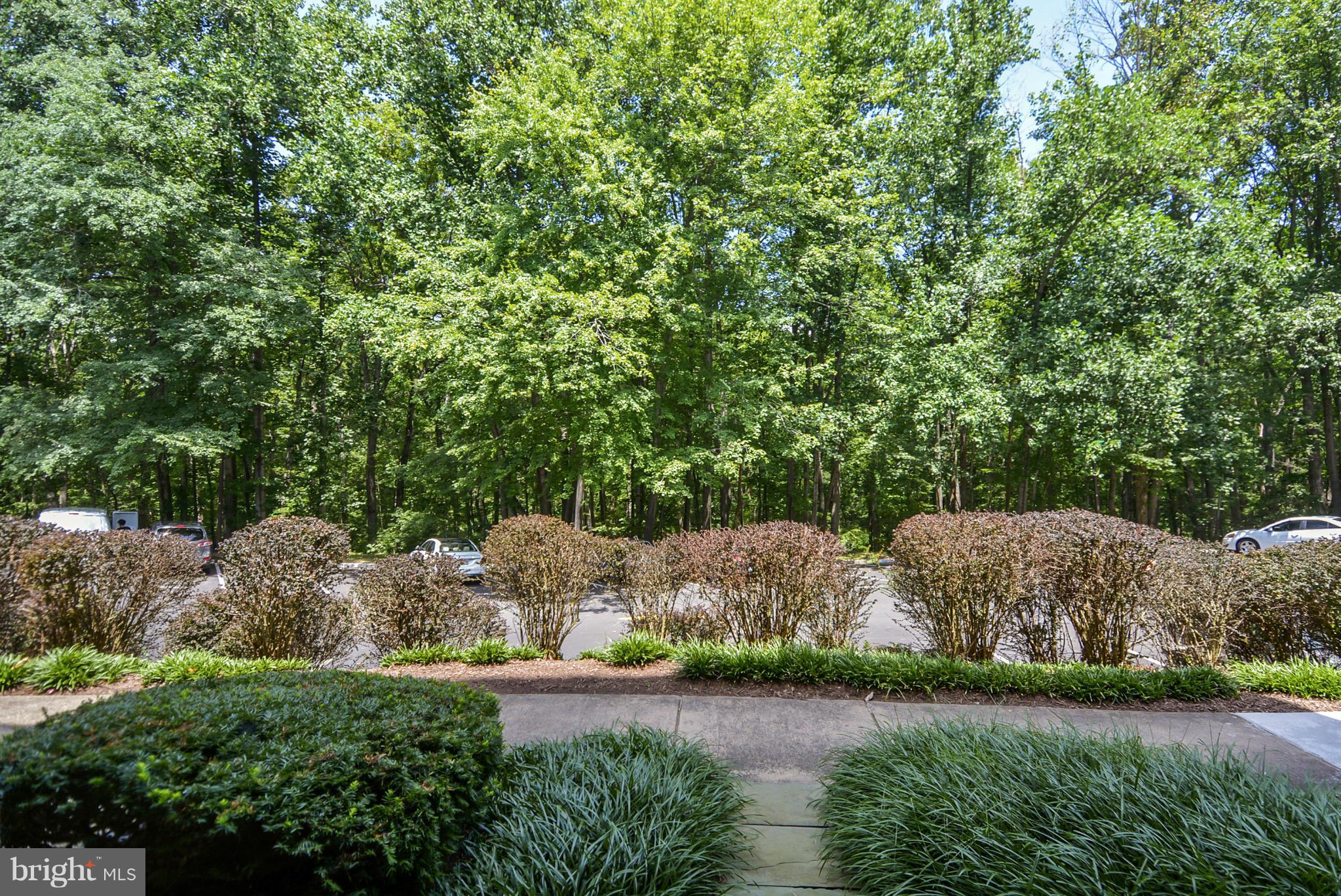 11240 Chestnut Grove Square, Unit 32 Reston, VA 20190 - Photo 21 of 28 Exterior (General)