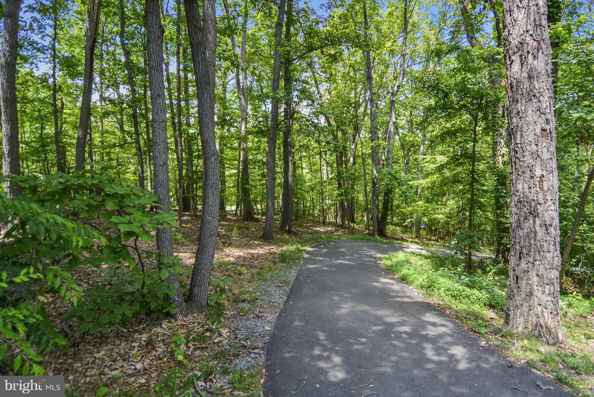 11240 Chestnut Grove Square, Unit 32 Reston, VA 20190 - Photo 25 of 28 Community
