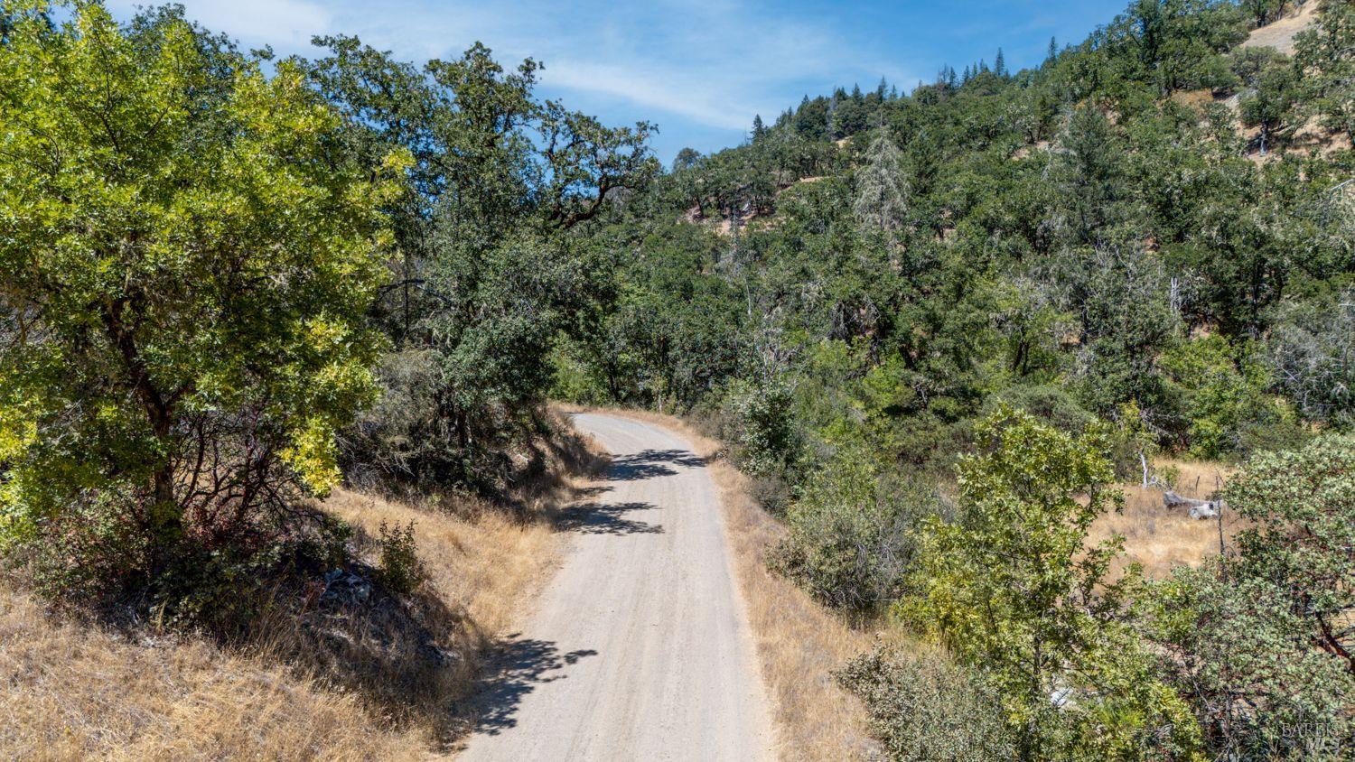19450 Tomki Road Willits, CA 95490 - Photo 22 of 37 a view of a forest with a tree
