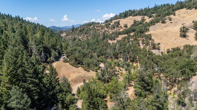 a view of a yard with plants and tree