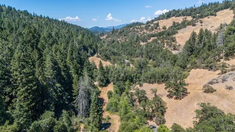 a view of a covered with large trees
