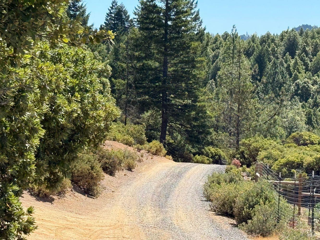 19450 Tomki Road Willits, CA 95490 - Photo 26 of 37 a view of a yard with plants and tree