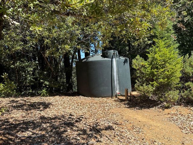 a view of a dry yard with trees in the background