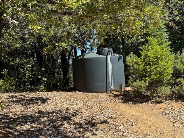 a view of a dry yard with trees in the background