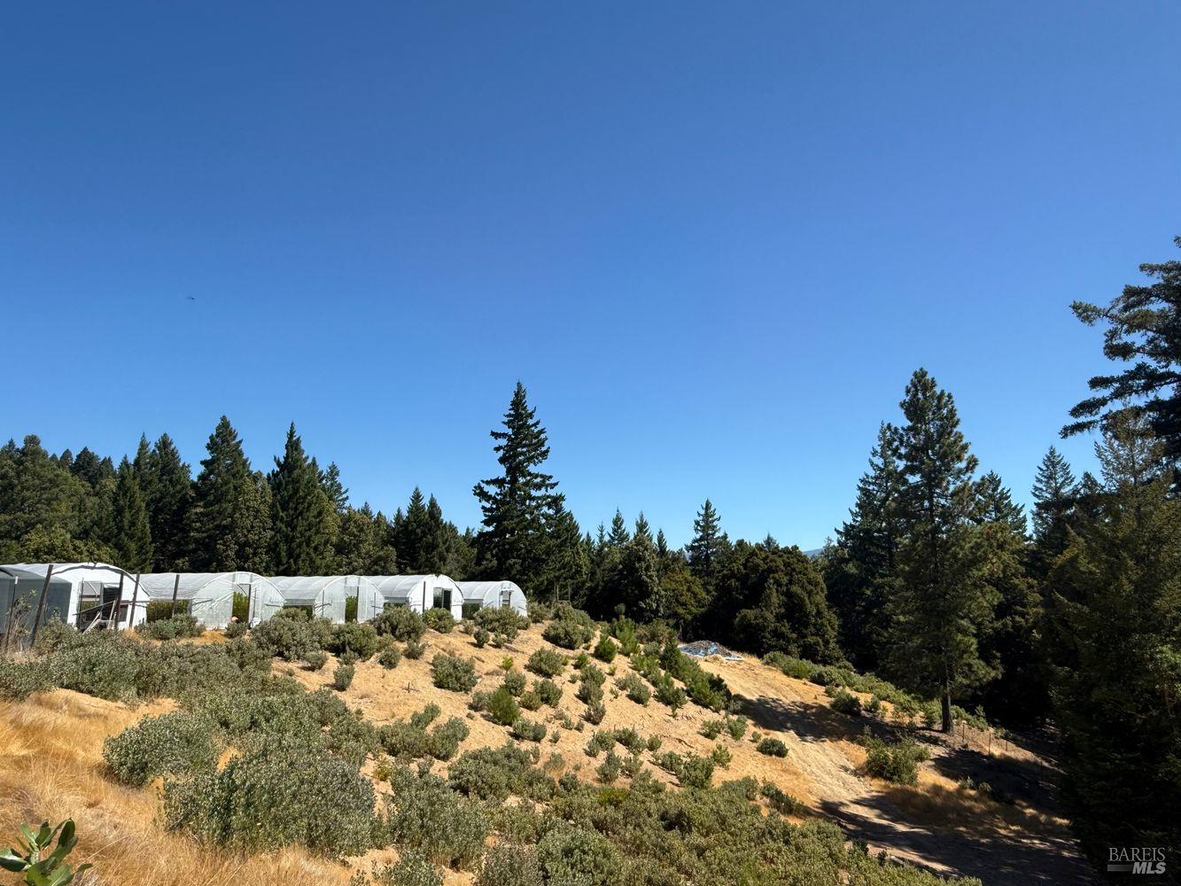 19450 Tomki Road Willits, CA 95490 - Photo 32 of 37 a view of a yard with a tree