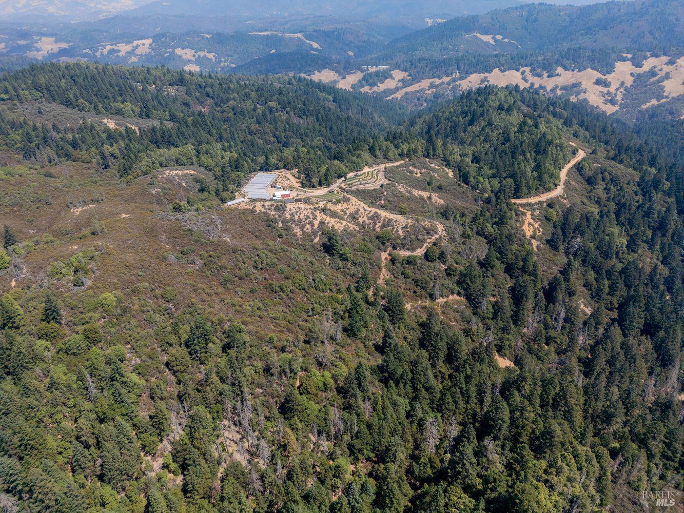 19450 Tomki Road Willits, CA 95490 - Photo 33 of 37 a view of a forest with a street