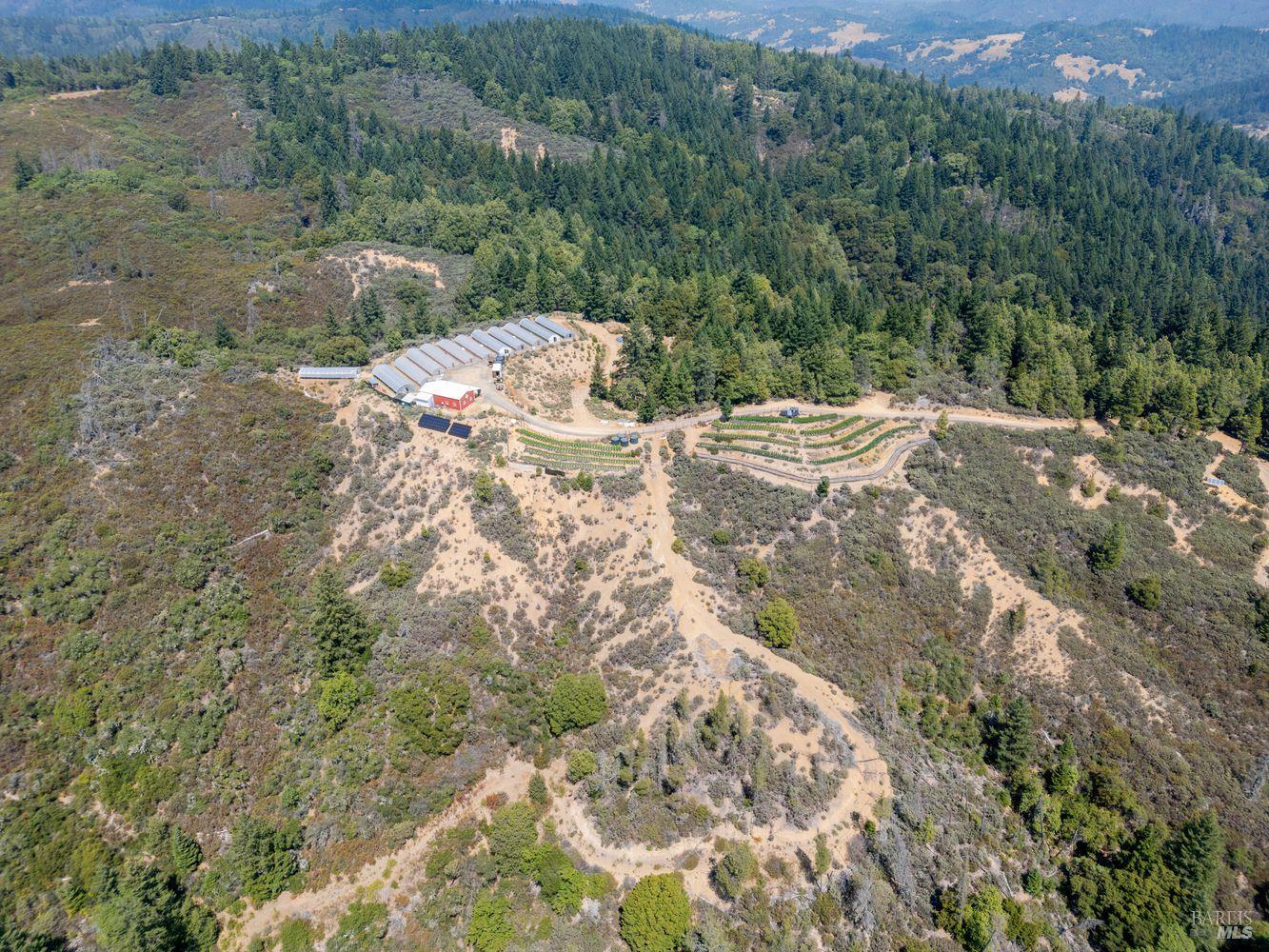 19450 Tomki Road Willits, CA 95490 - Photo 34 of 37 a view of a yard with a tree