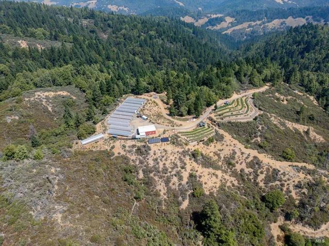 a view of a big yard with lots of bushes