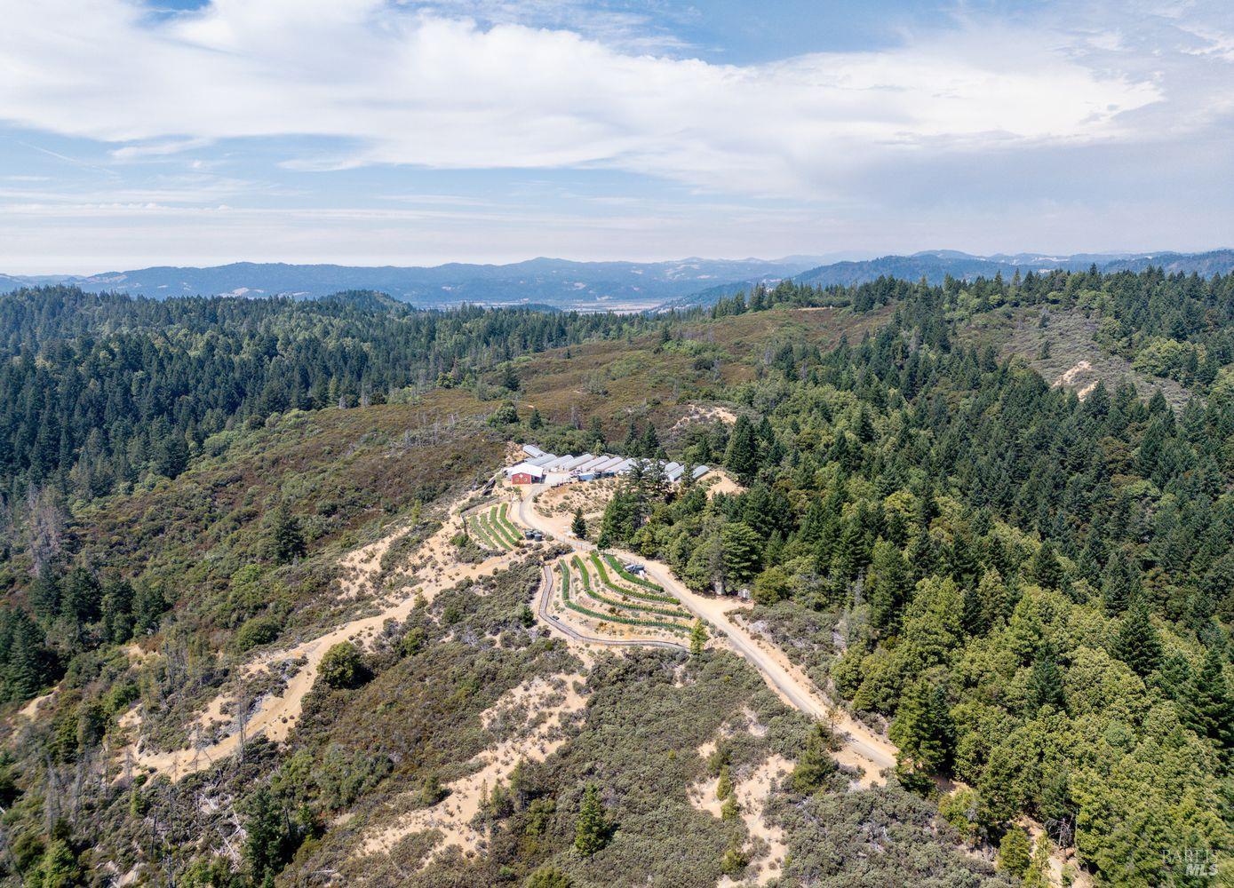 19450 Tomki Road Willits, CA 95490 - Photo 37 of 37 a view of a big yard with lots of bushes