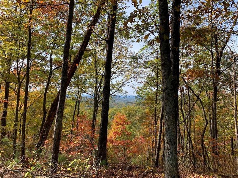 375 Adair Drive Ranger, GA 30734 - Photo 16 of 27 a view of outdoor space and trees