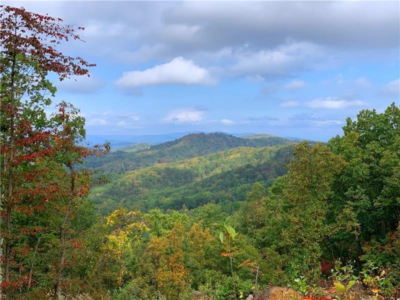 375 Adair Drive Ranger, GA 30734 - Photo 17 of 27 a view of a city and mountains