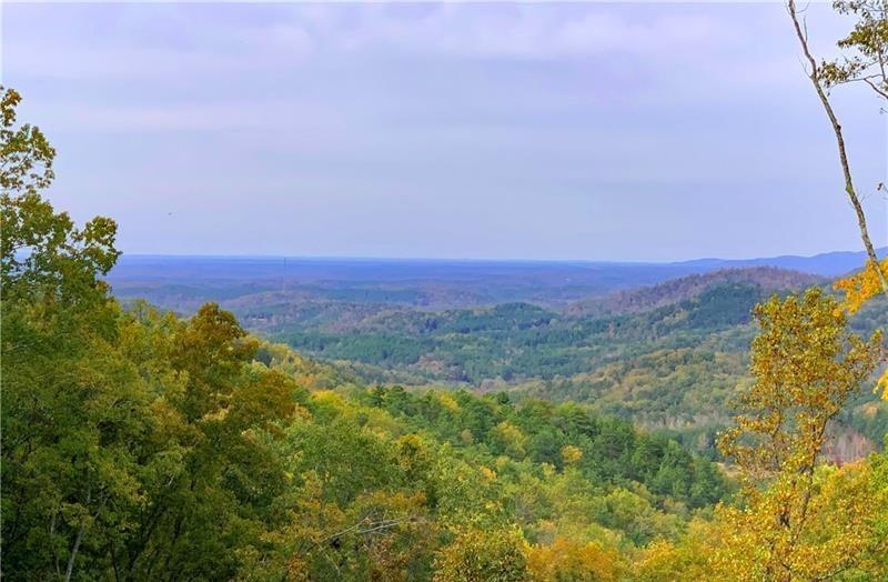 375 Adair Drive Ranger, GA 30734 - Photo 19 of 27 a view of a city with lush green forest