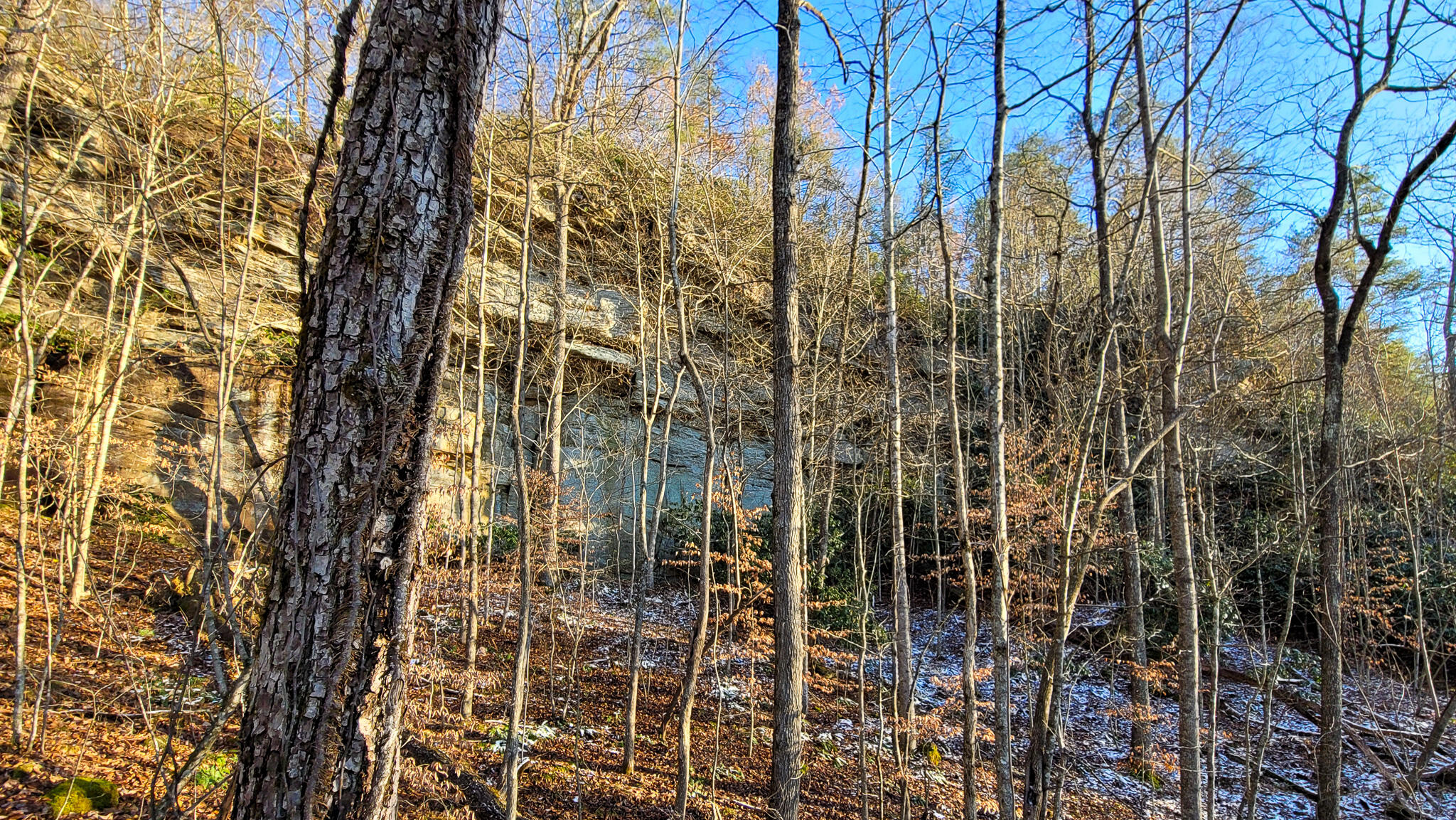 0 Beech Timber Road Beattyville, KY 41311 - Photo 36 of 54 20241212_160320