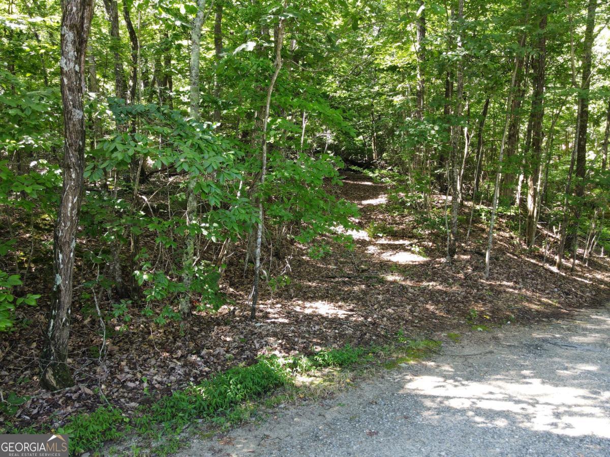 0 Bald Eagle Path Cleveland, GA 30528 - Photo 11 of 32 a view of forest