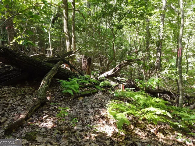 a backyard of a house