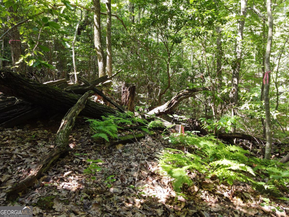 0 Bald Eagle Path Cleveland, GA 30528 - Photo 14 of 32 a backyard of a house