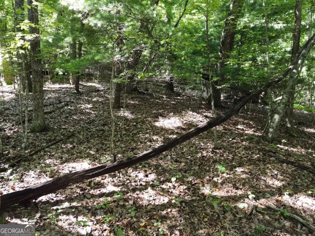 a view of a mountain