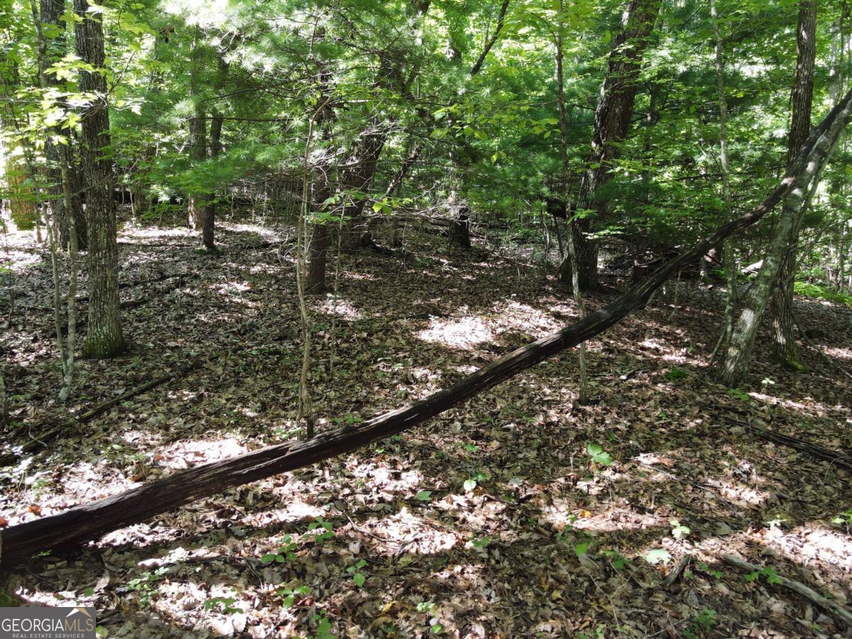 0 Bald Eagle Path Cleveland, GA 30528 - Photo 15 of 32