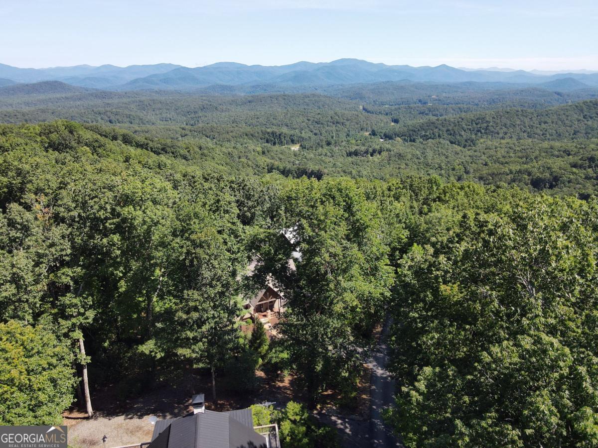 0 Bald Eagle Path Cleveland, GA 30528 - Photo 16 of 32 a view of a mountain