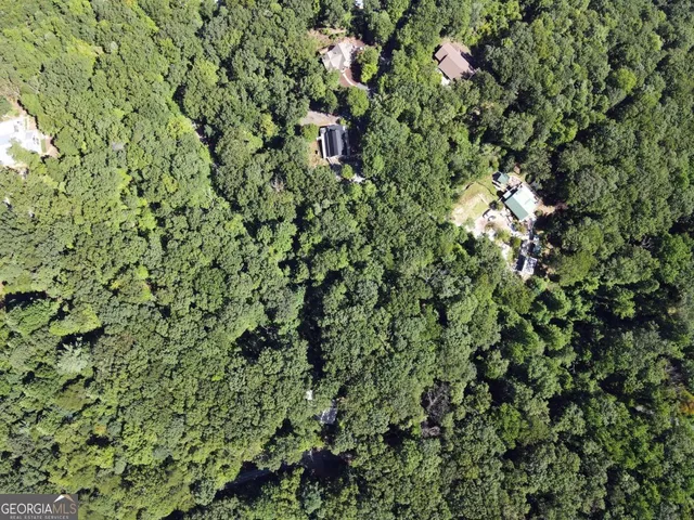 a view of a dry yard and green space