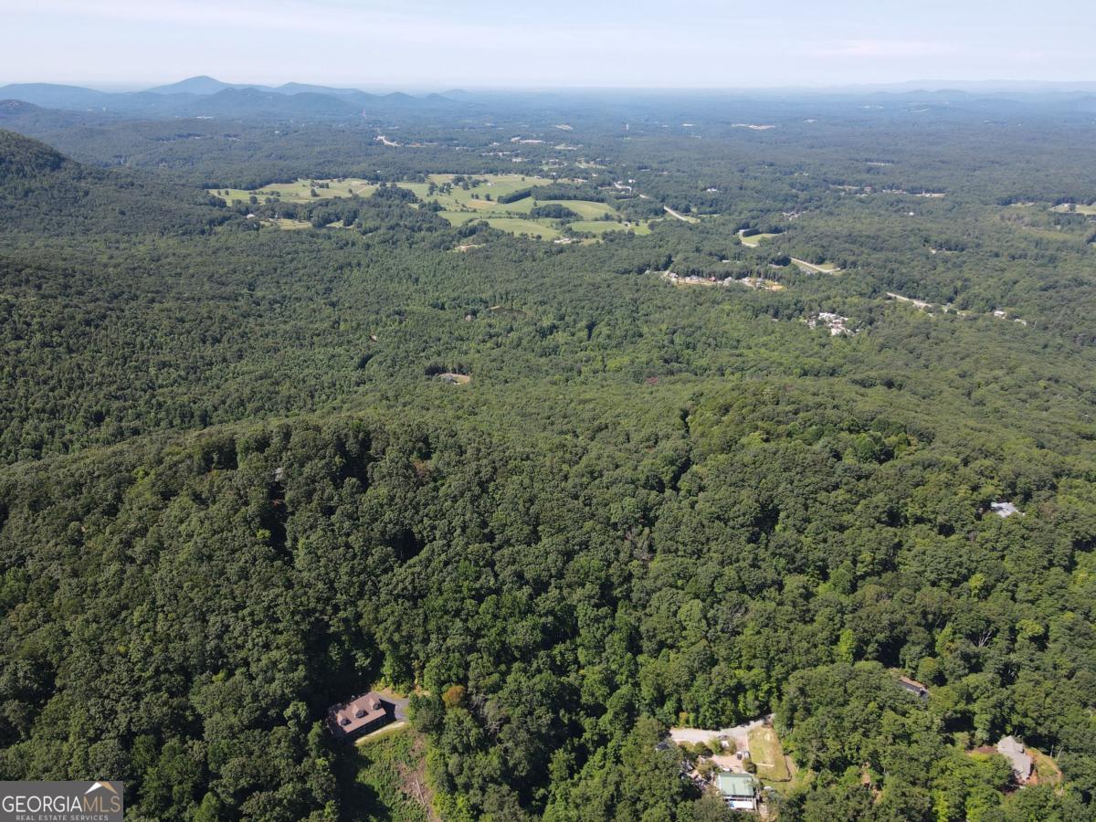 0 Bald Eagle Path Cleveland, GA 30528 - Photo 25 of 32 a view of a city with lush green forest