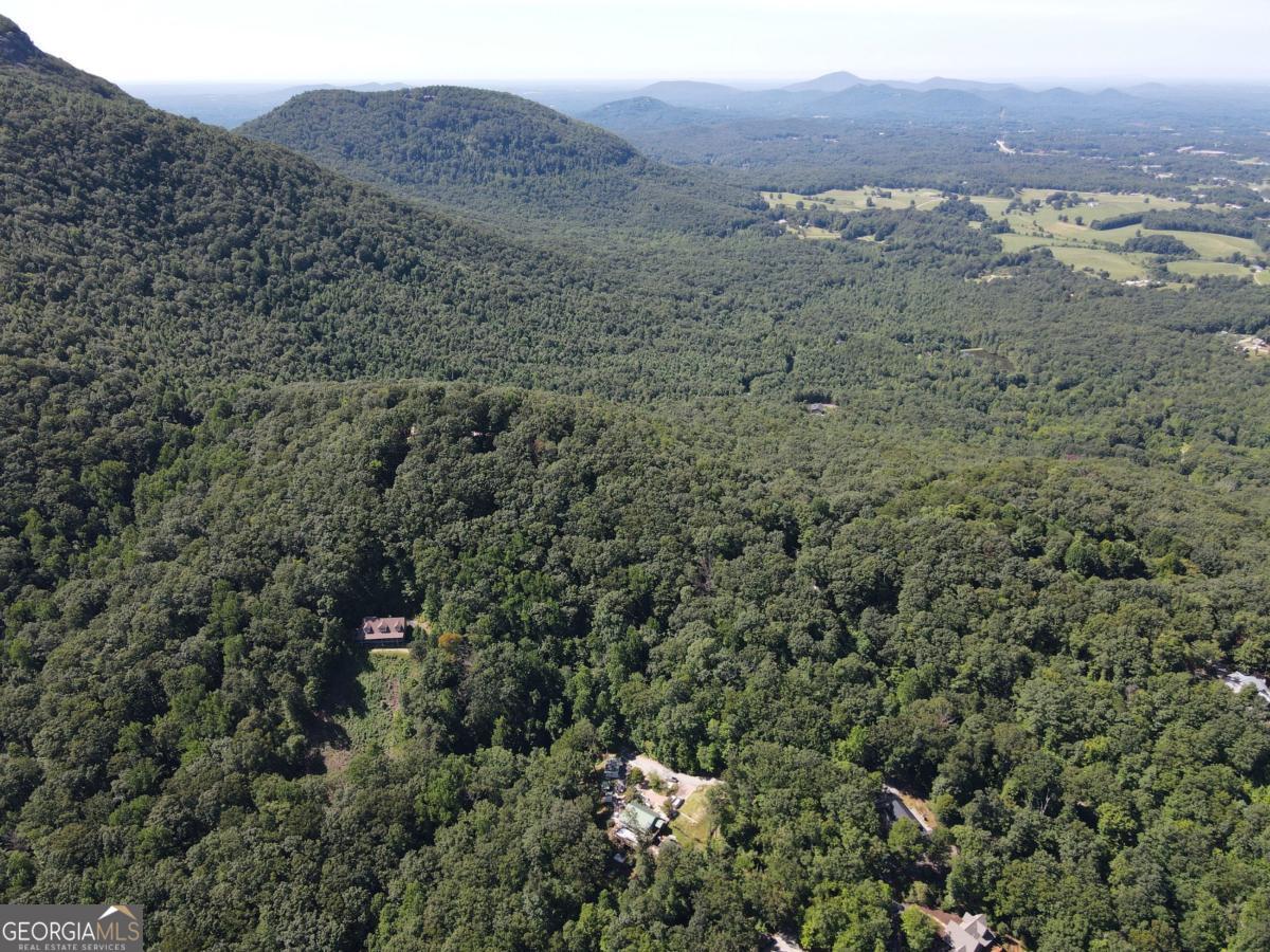 0 Bald Eagle Path Cleveland, GA 30528 - Photo 27 of 32 a view of a city with mountain