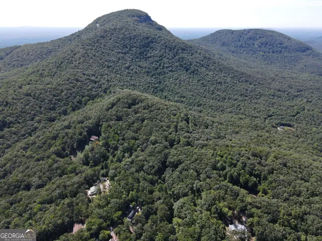 a view of a big yard with lots of trees