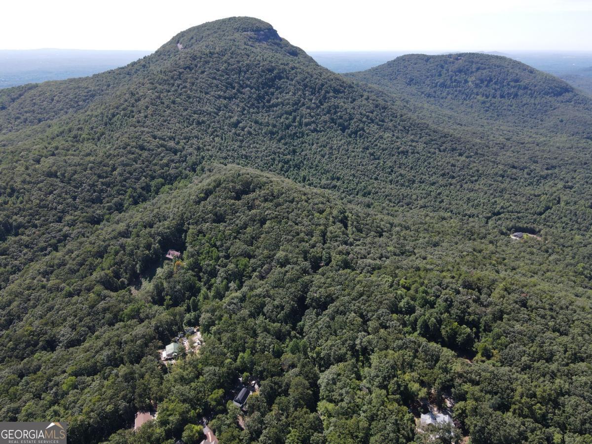 0 Bald Eagle Path Cleveland, GA 30528 - Photo 28 of 32 a view of a large mountain in the distance