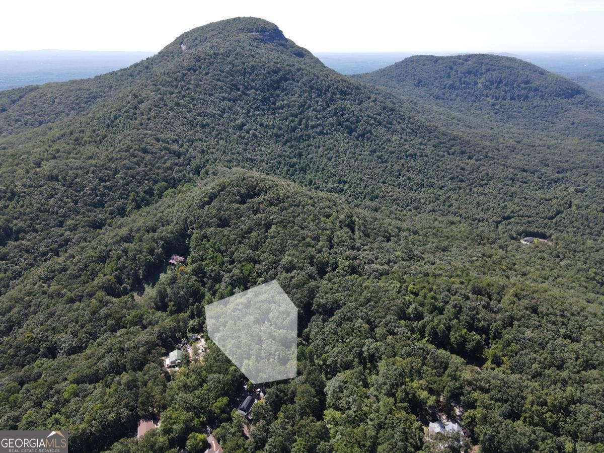 0 Bald Eagle Path Cleveland, GA 30528 - Photo 29 of 32 a view of a dry yard with green space