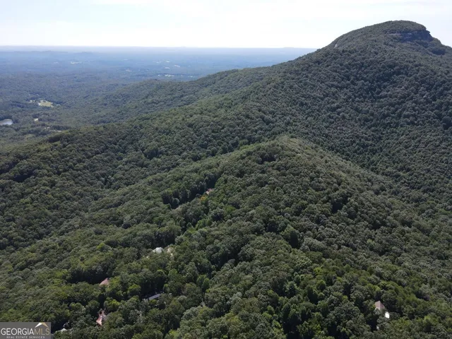 a view of entryway with a tree
