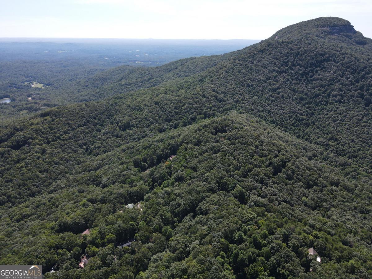 0 Bald Eagle Path Cleveland, GA 30528 - Photo 30 of 32 a view of a big yard with lots of trees